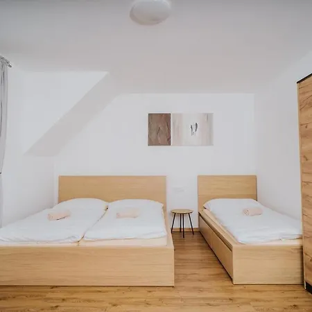Apartment Buda Cervena Voda